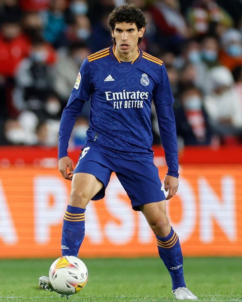  平甩手功正确完整30分钟 